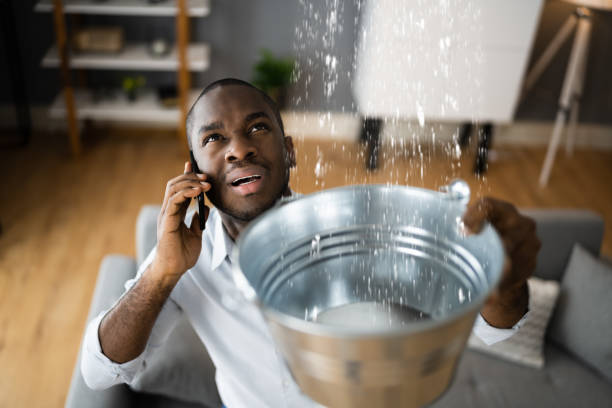 Best 24/7 water damage repair  in Frankl, IN