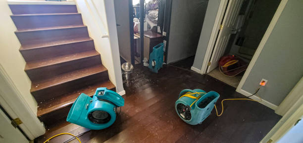 Best Commercial water damage restoration  in Frankl, IN