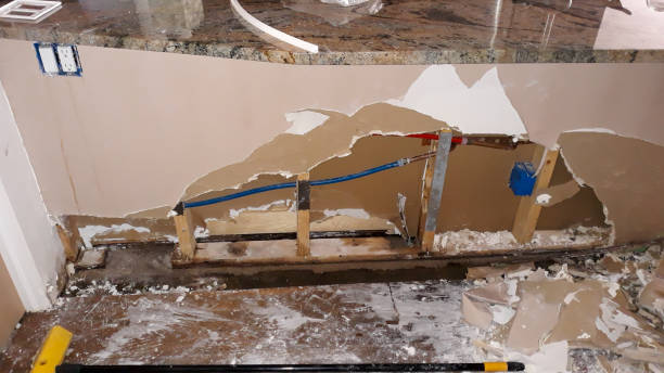 Best Carpet water damage restoration  in Frankl, IN