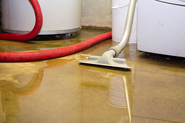 Best Sewage cleanup and water damage restoration  in Frankl, IN
