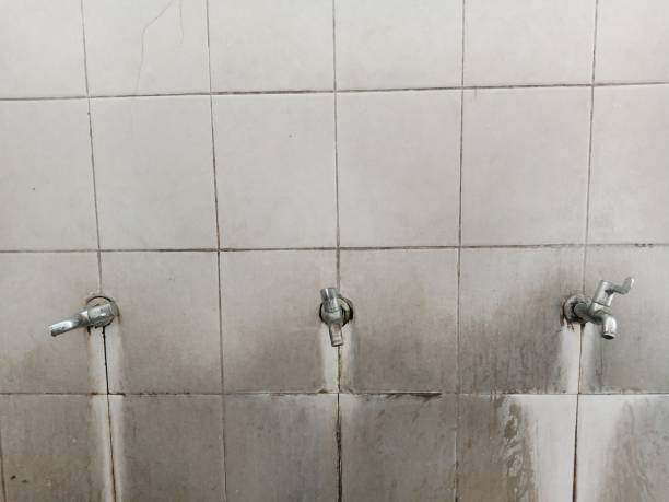 Best Flood restoration services  in Frankl, IN