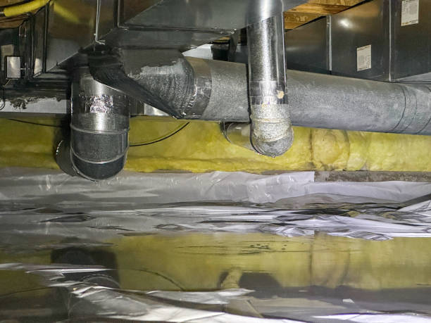 Best 24-hour water damage restoration  in Frankl, IN