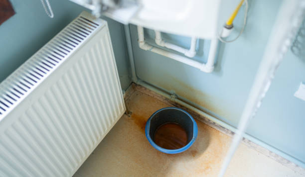 Best Flood damage cleanup  in Frankl, IN